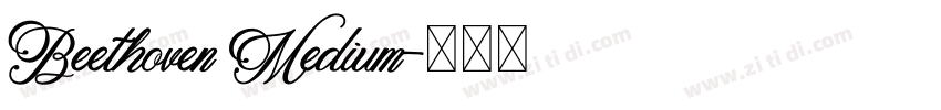 Beethoven Medium字体转换